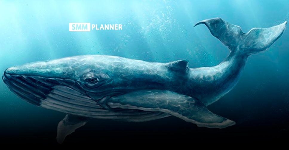 19 февраля. Всемирный день защиты морских млекопитающих
