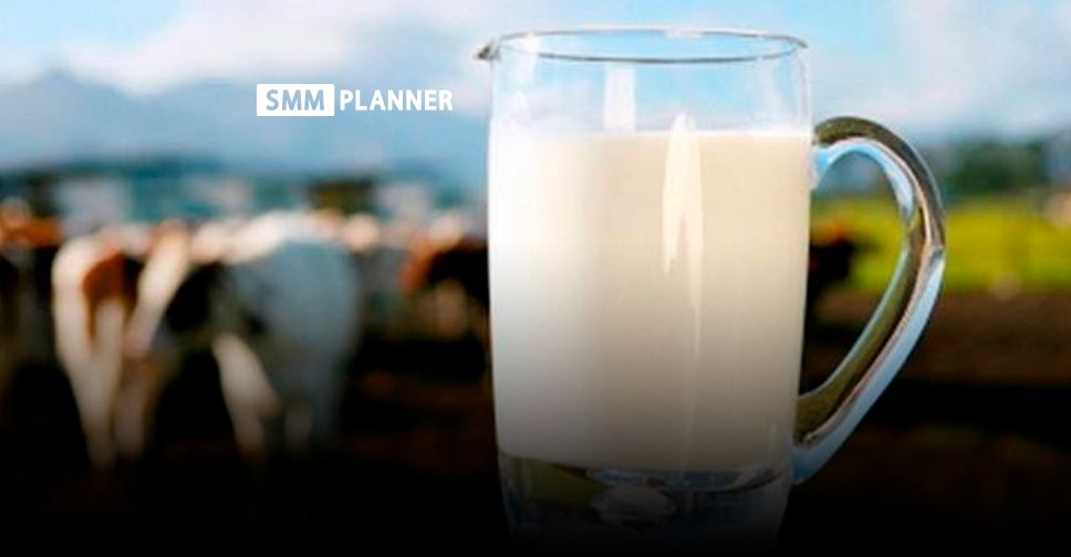 1 июня. Всемирный день молока