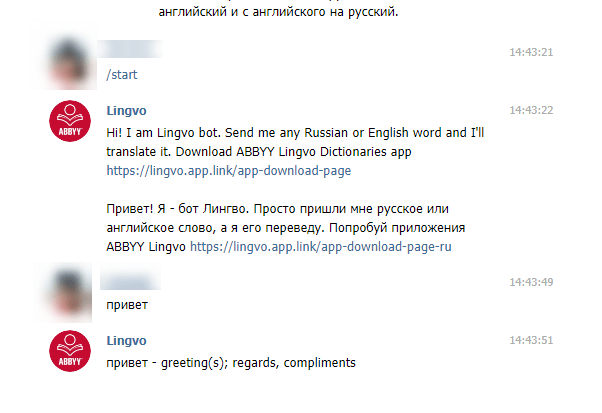 как работает lingvobot