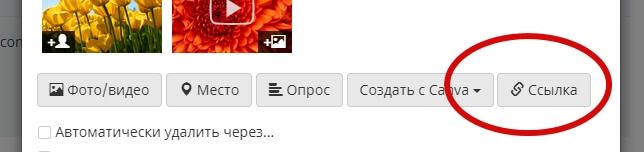 Кнопка «Ссылка» откроет строку для добавления