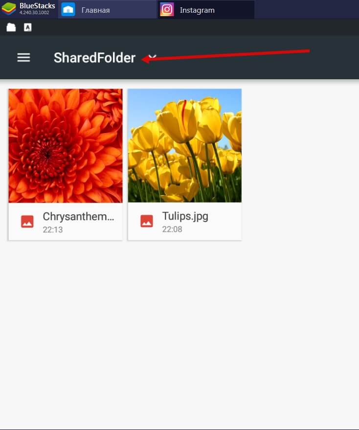 Теперь они хранятся в разделе SharedFolder