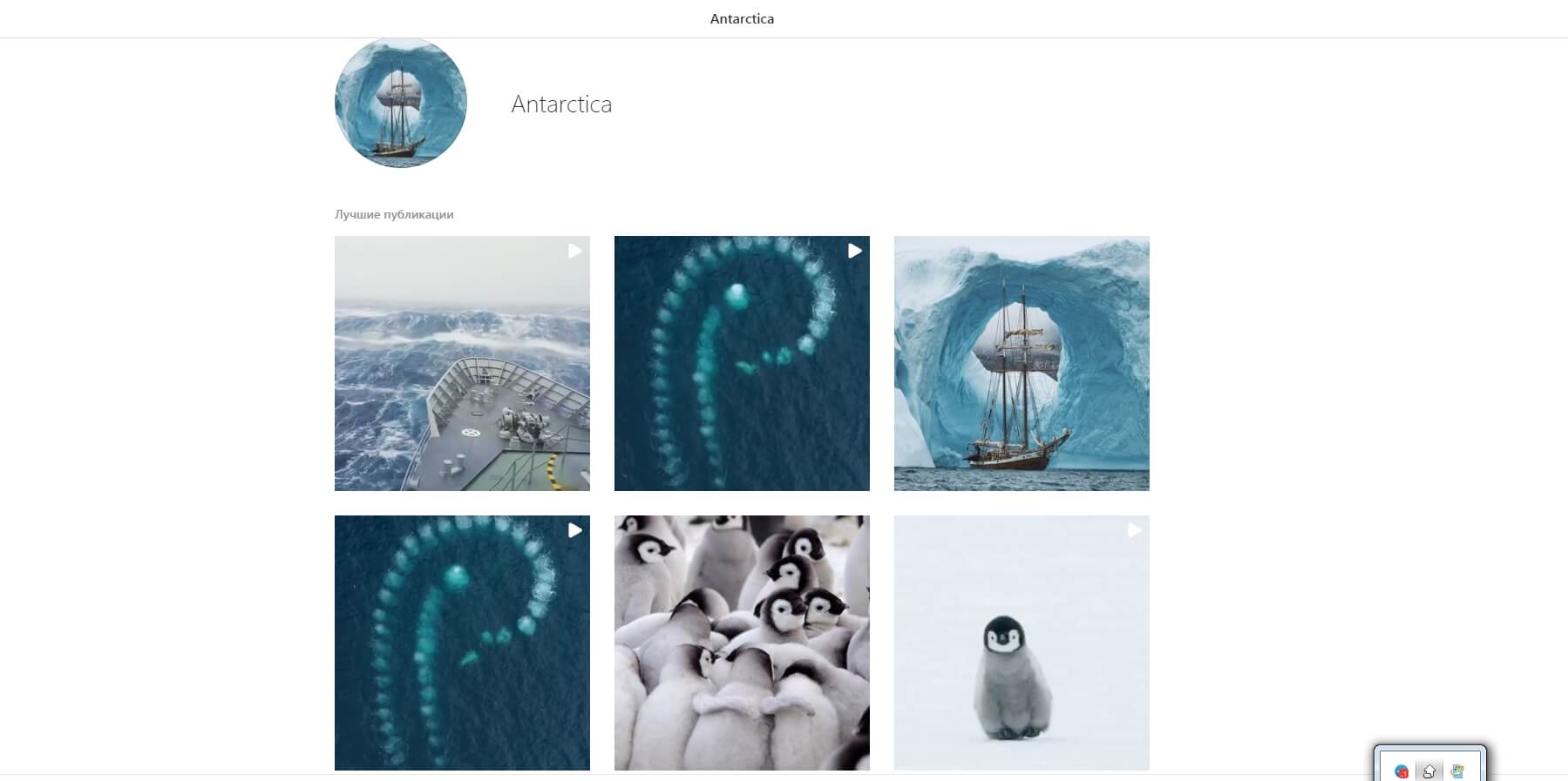 Например, по метке «Антарктика» можно полюбоваться пингвинами и замерзшими волнами. На случай, если устали просматривать Истории в Инстаграме* анонимно