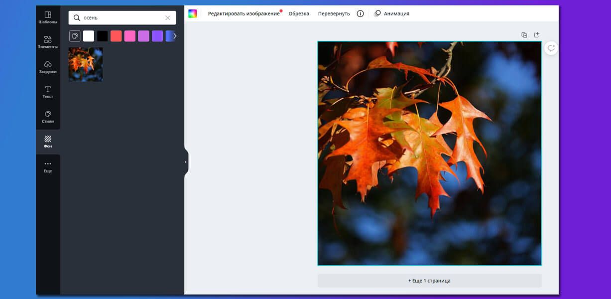 Мы воспользовались поиском во вкладке «Фон» и выбрали осеннюю картинку