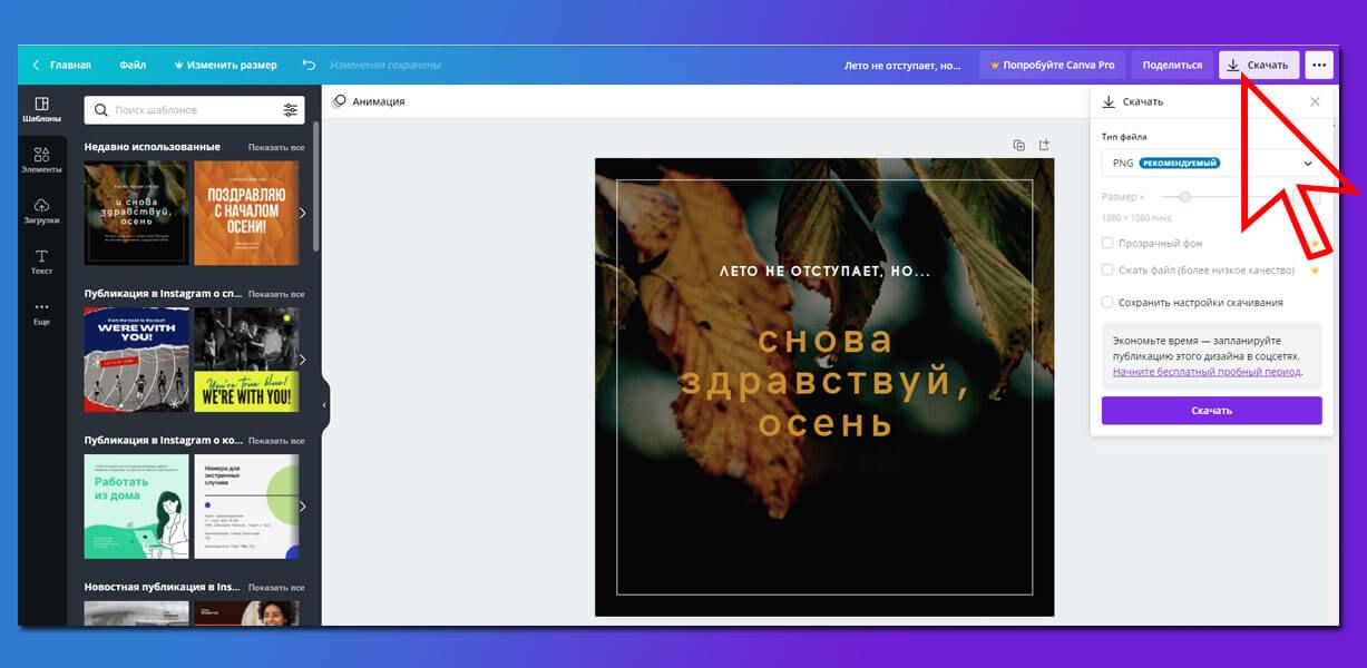 Обзор сервиса Canva