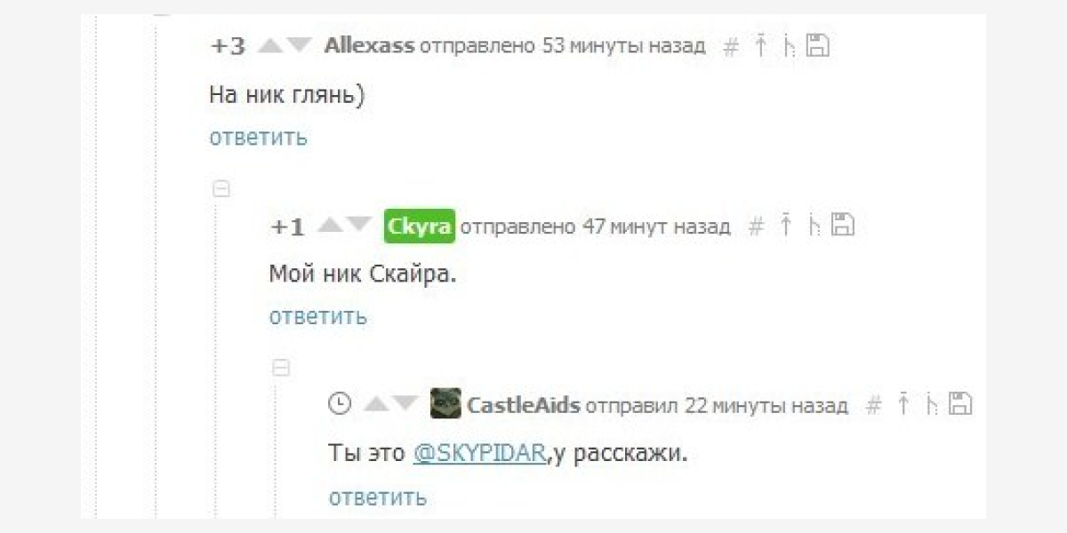 Никого не хочу оскорбить. Просто будьте внимательны. Обязательно проверьте, чтобы ник читался недвусмысленно, и пишите без ошибок. Скайра, Скипидар, а еще Бантик (BANTYC) и человек с фамилией Карпоев (KARPOEB) попались в эту ловушку