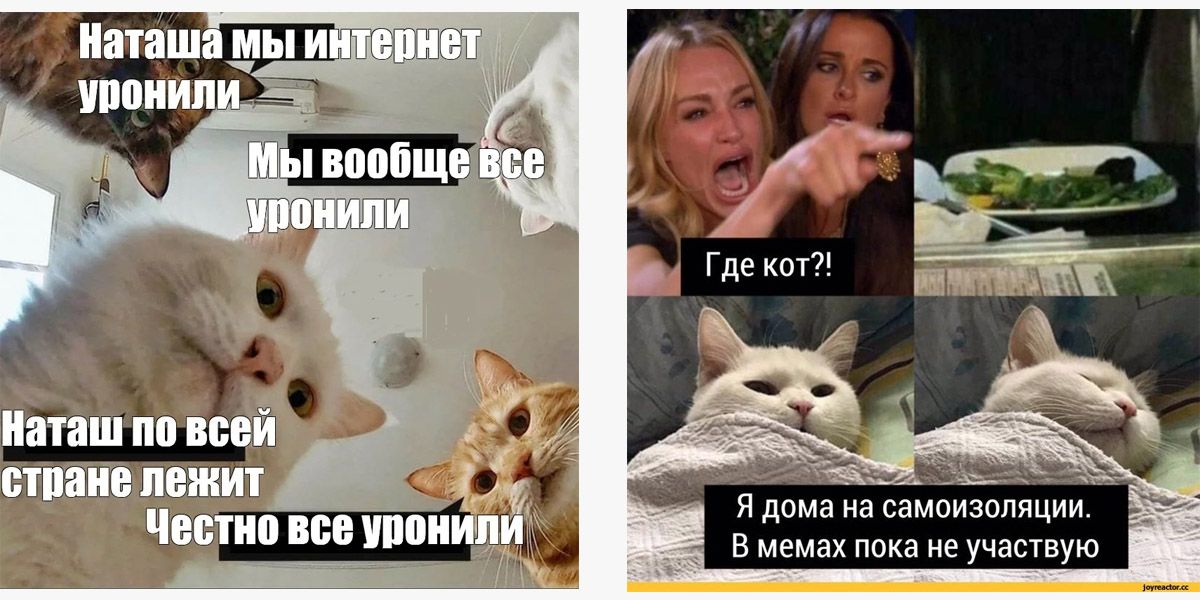 Мемы «Наташа, мы все уронили» и «Кот и две девушки» переделывают постоянно, как только в соцсети или в стране происходит что-то интересное