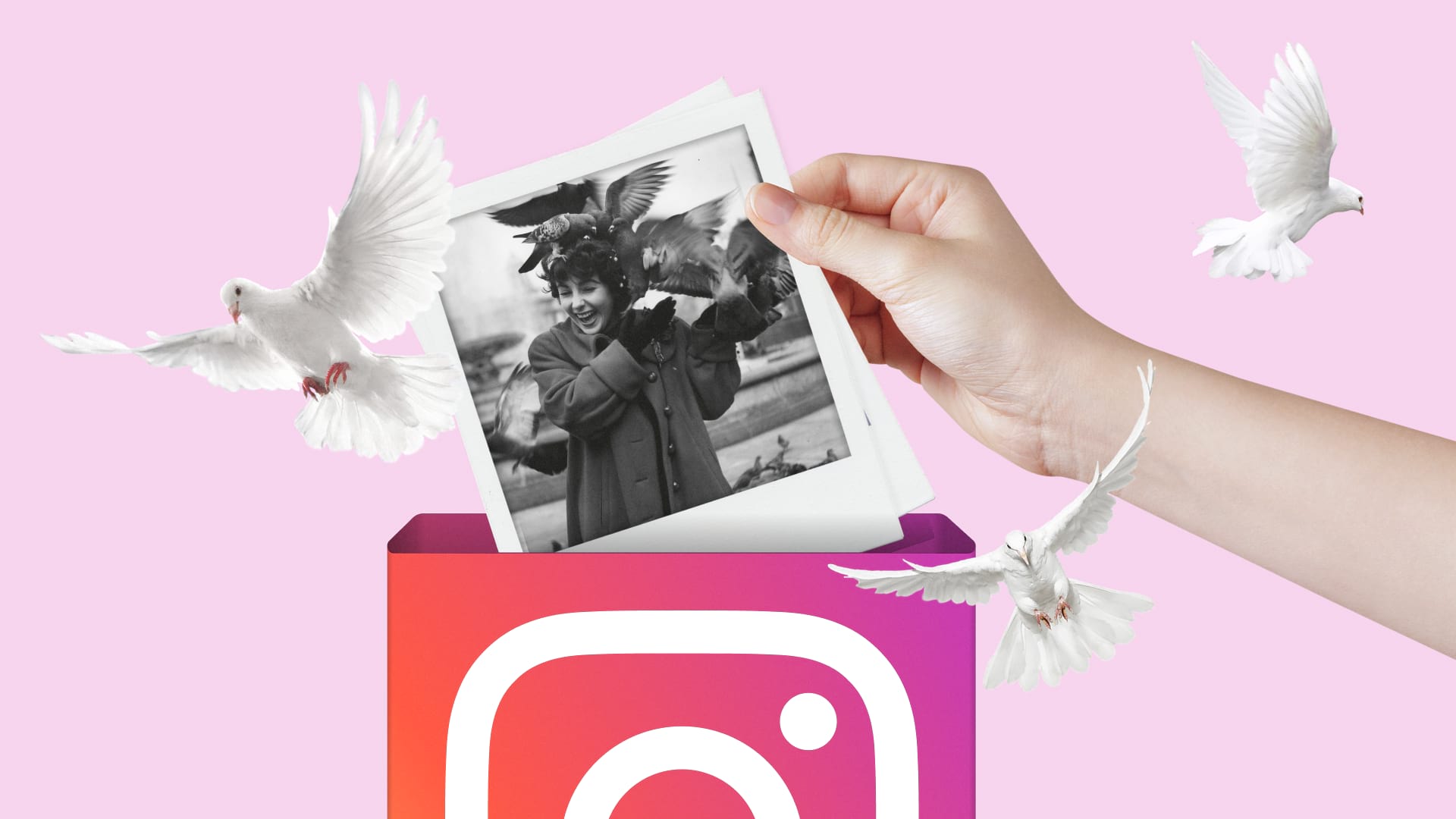 Как добавить несколько фотографий в одну историю Instagram