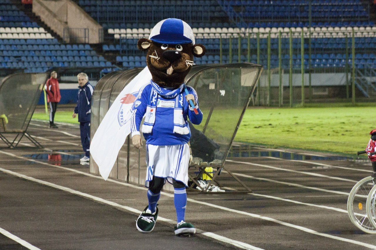 Даже у Воронежского футбольного клуба «Факел» есть маскот бобер