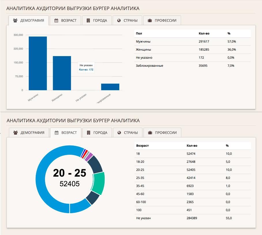 Анализ аудитории группы вк БургерКинг