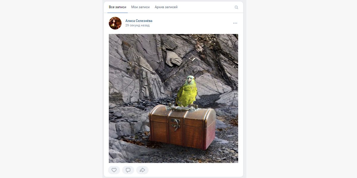 Попугай – птица гордая: знает, какой формат постов ВКонтакте использовать
