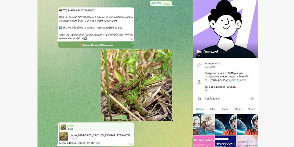 Телеграм-бот – простой способ изменить размер фото онлайн в PNG