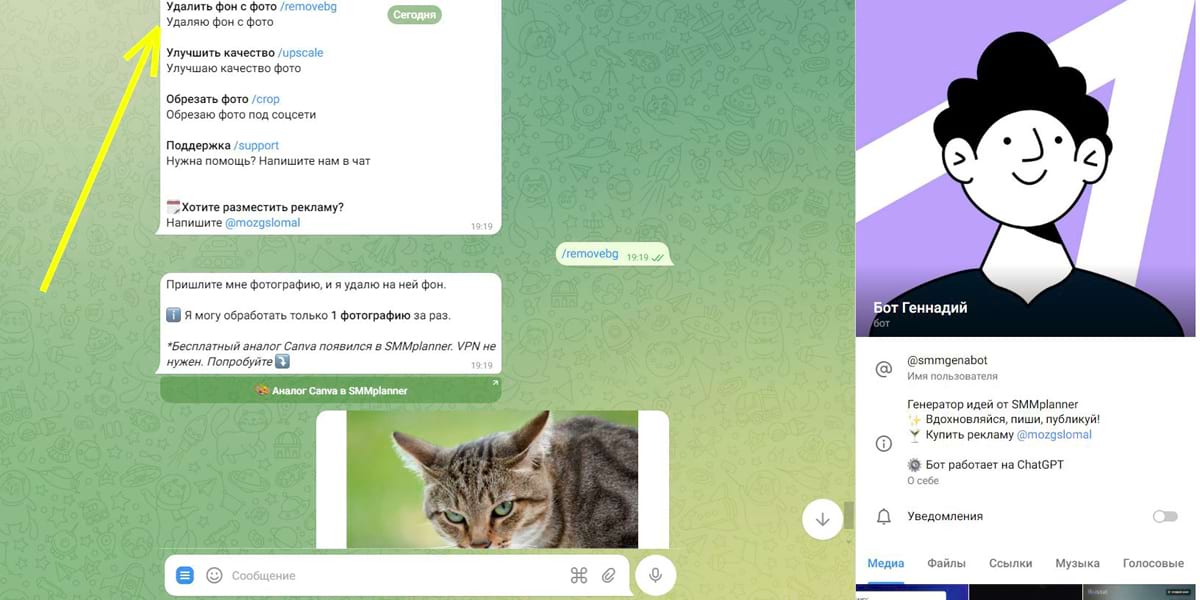 Чтобы убрать задний фон с PNG, выберите нужную опцию и отправьте картинку в чат 