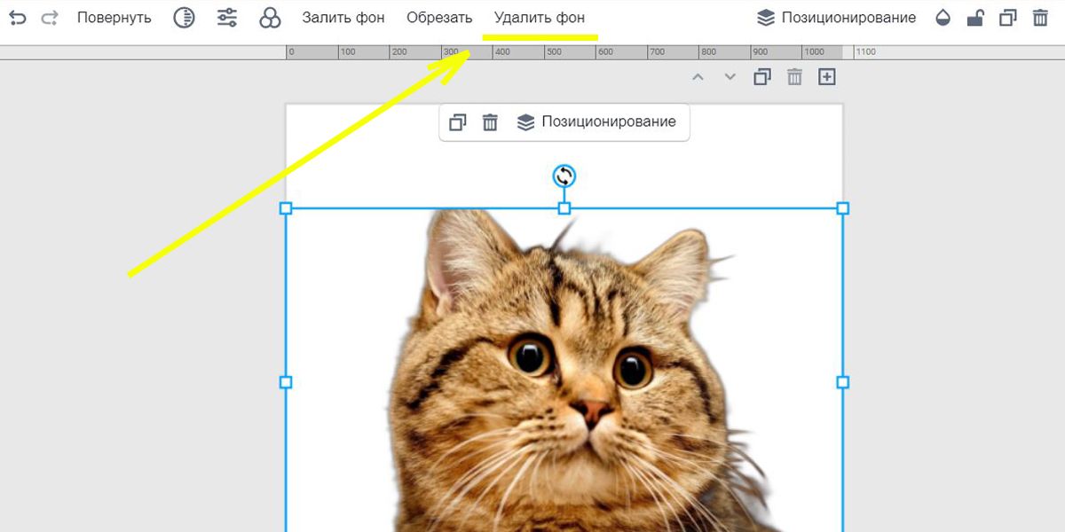 Удаляем фон на фото в редакторе Холст