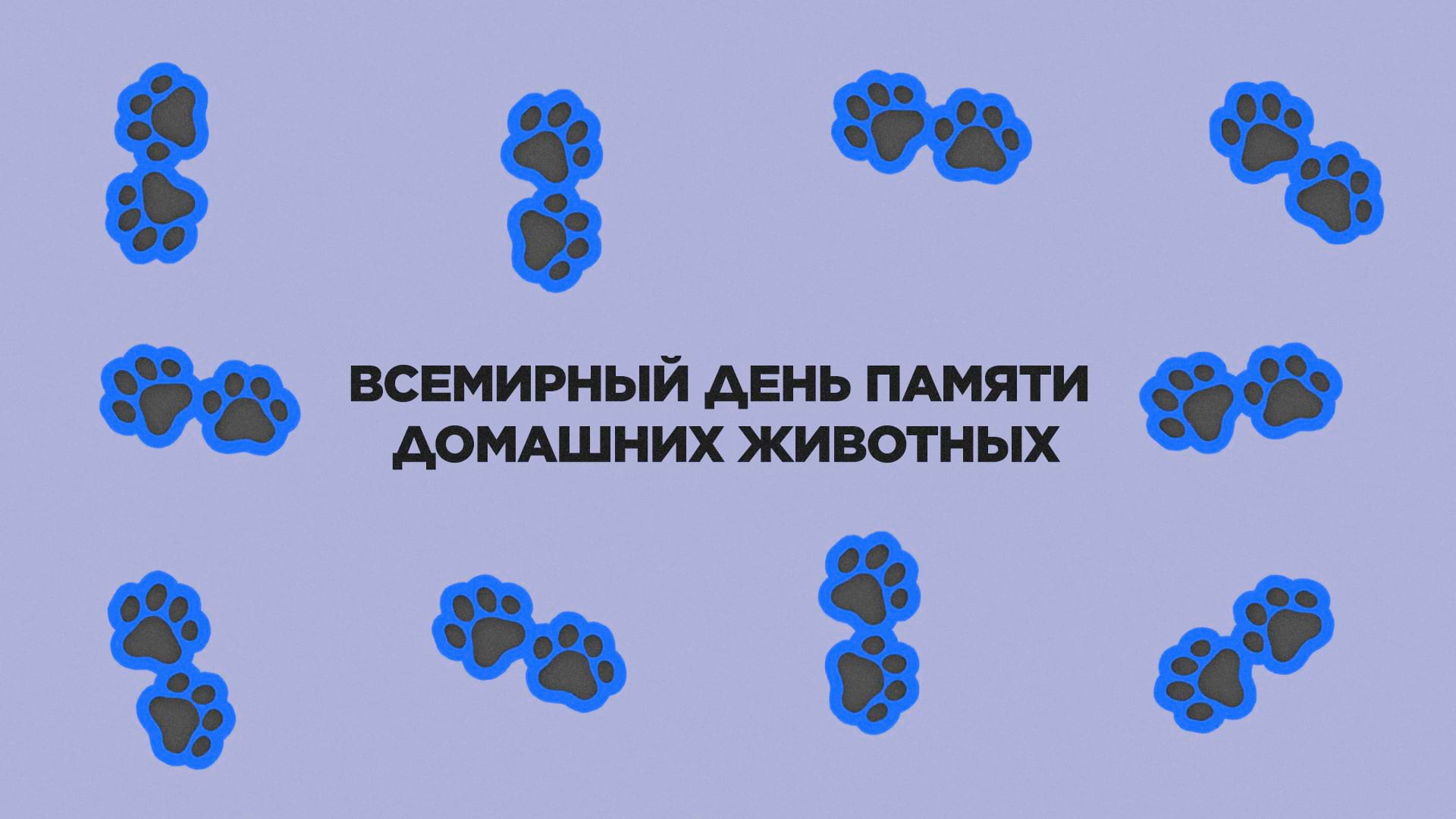 10 июня. Всемирный день памяти домашних животных