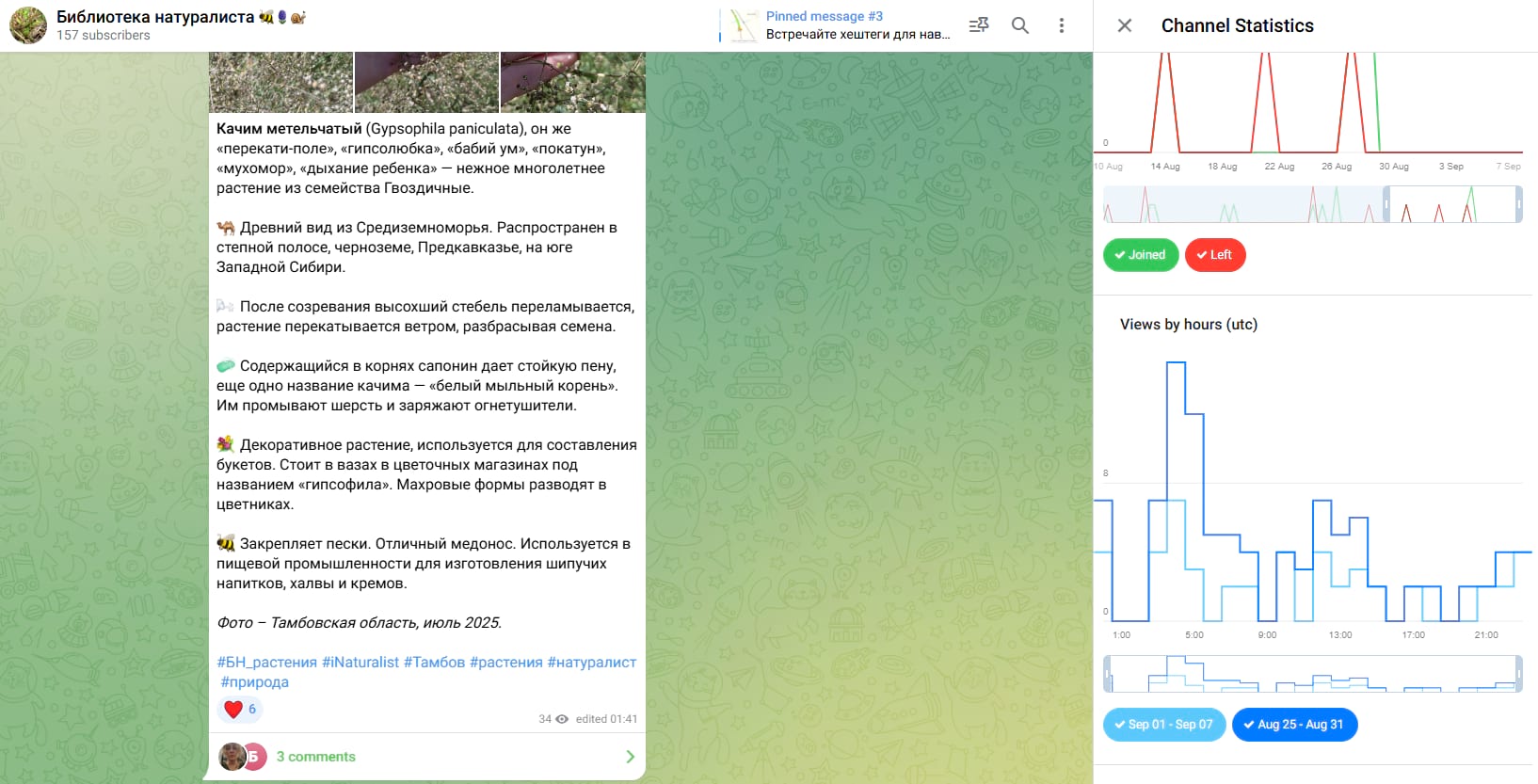 Раздел просмотров по часам в статистике телеграм-канала