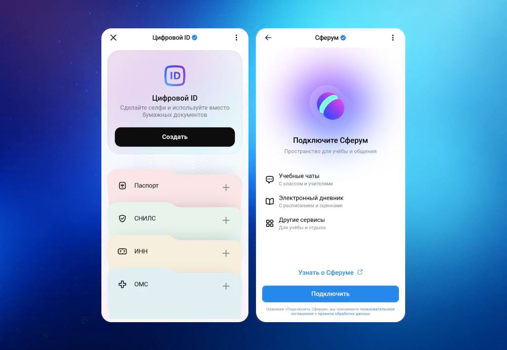 Госуслуги и Сферум можно подключить прямо из настроек