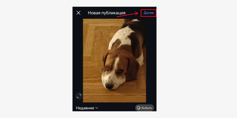 Ушастый помощник показывает на кнопку для публикации фото в Инстаграме*