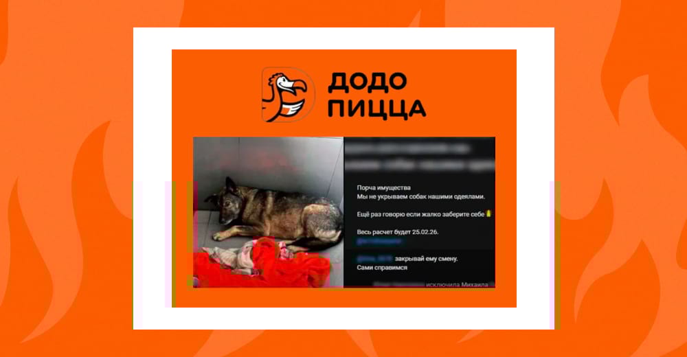 Додо пицца - история с собакой