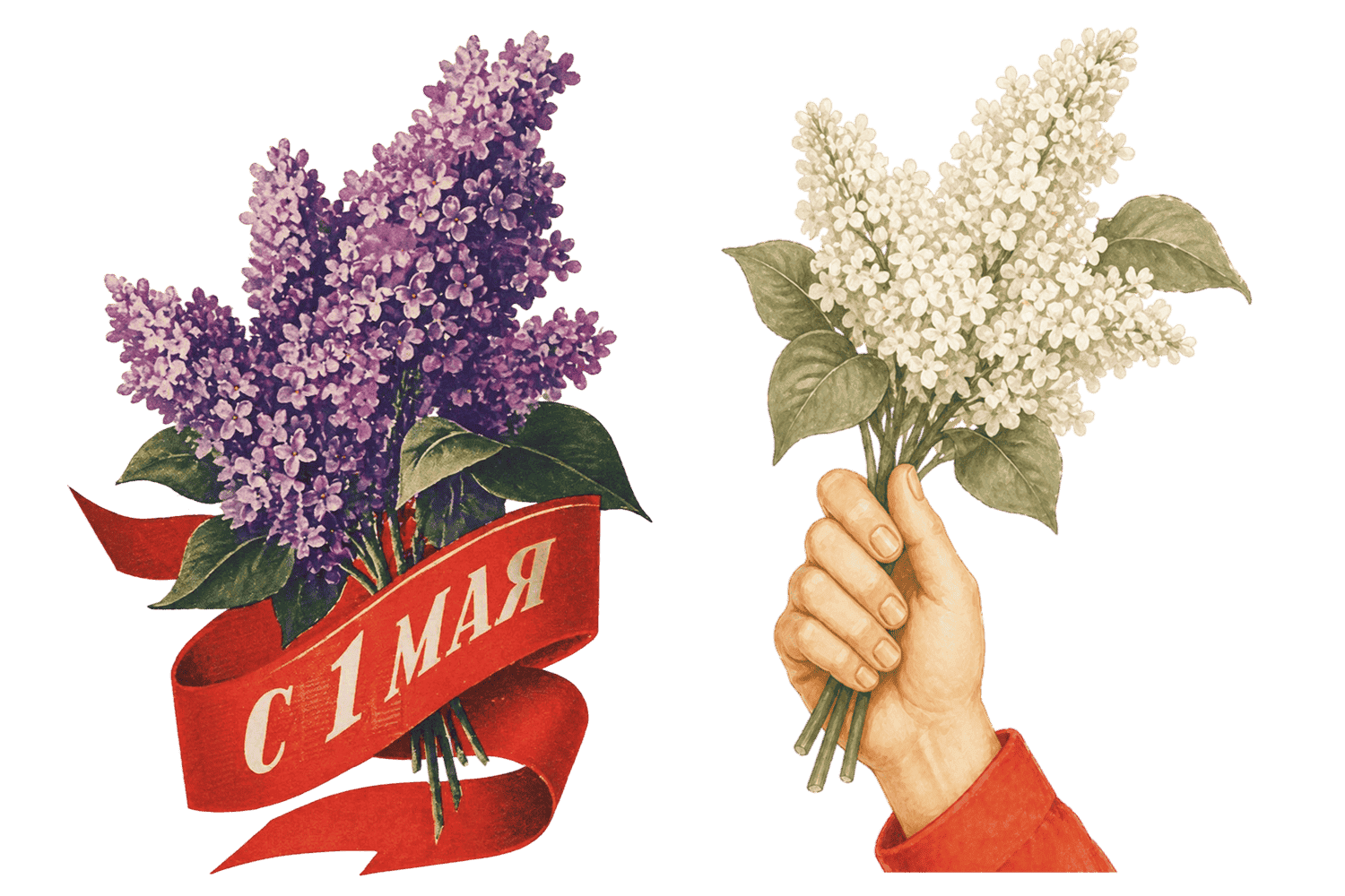 Винтажная сирень с лентой «С 1 мая» и букет белой сирени — ретро-клипарт к празднику