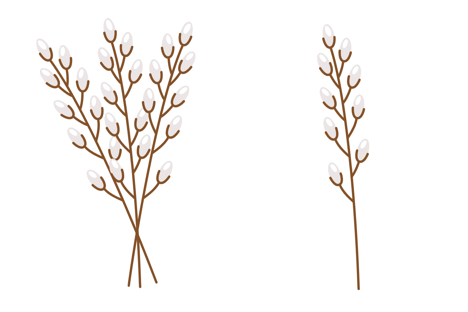 ветка вербы рисунок схематичный стикер png