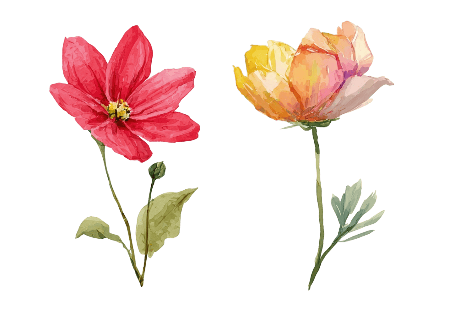 пастельный цветок акварель весенний цветок png