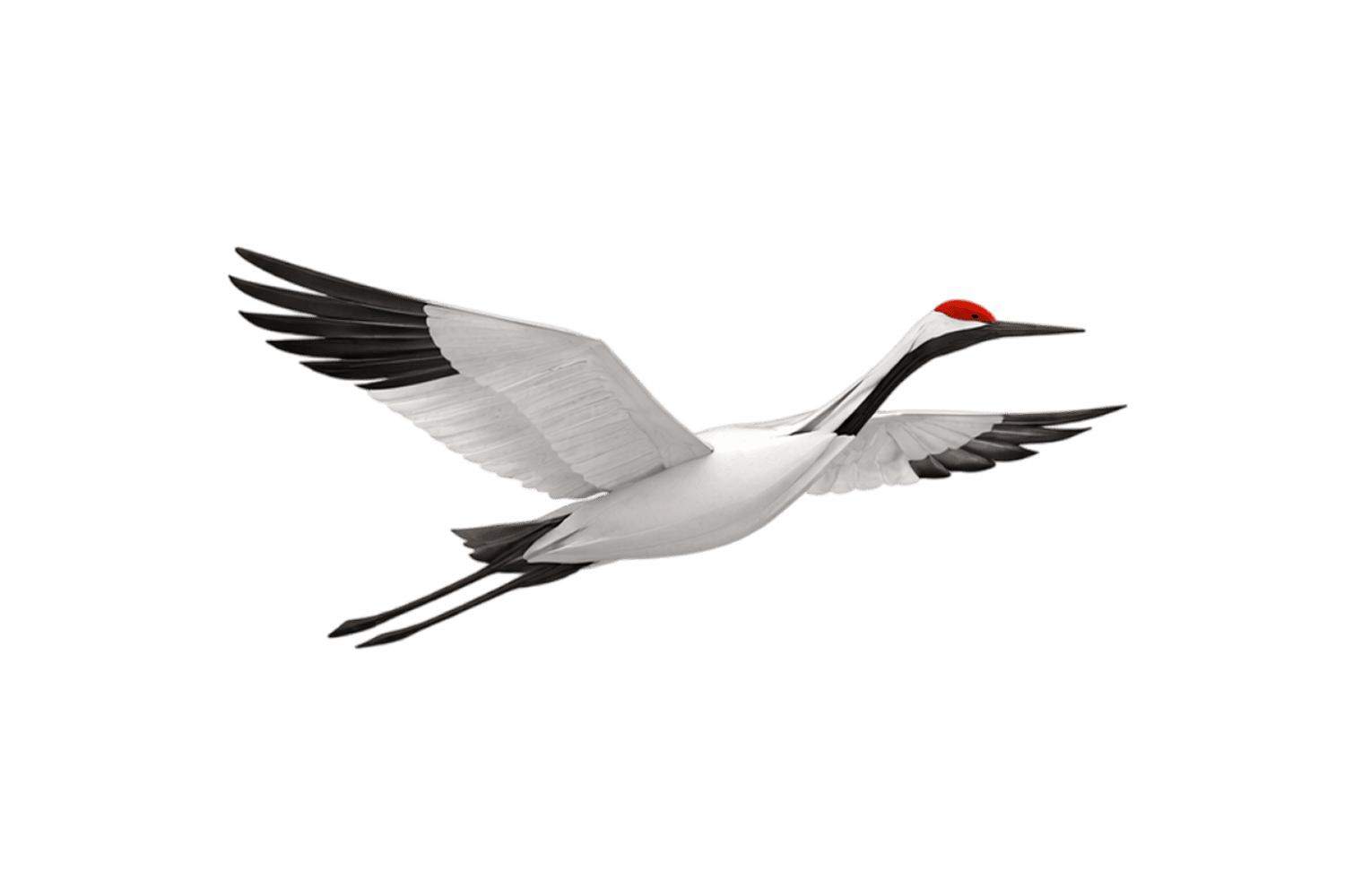 журавль белый стикер 9 мая символ памяти и павших прозрачный фон