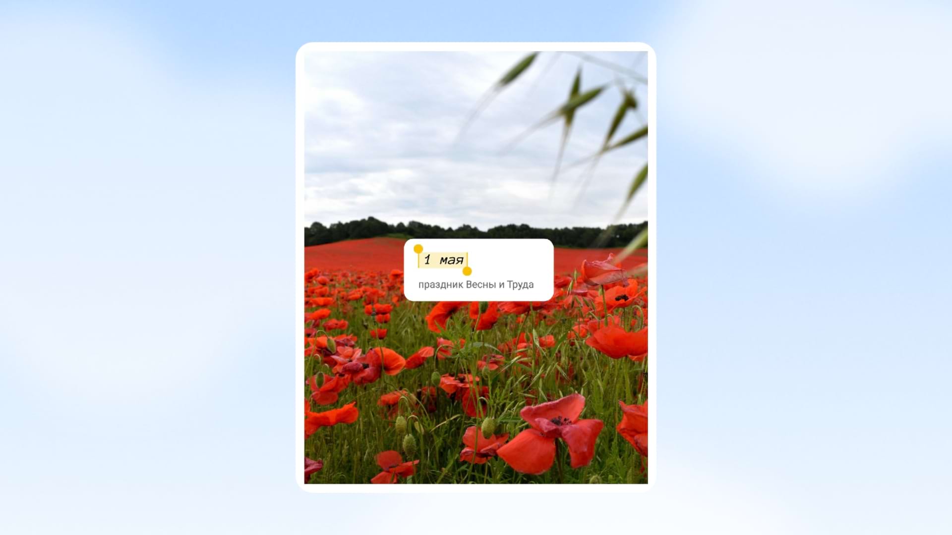 Шаблон к 1 мая