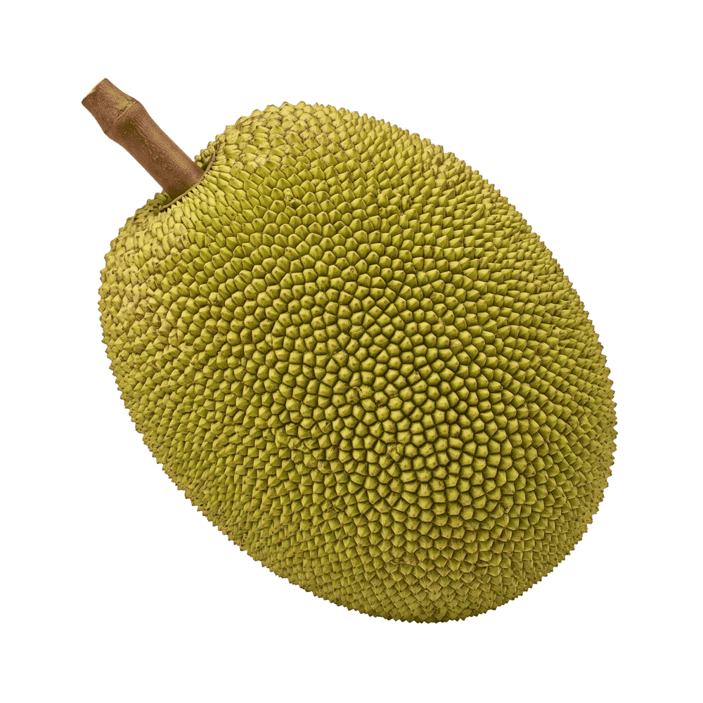 PNG джекфрут