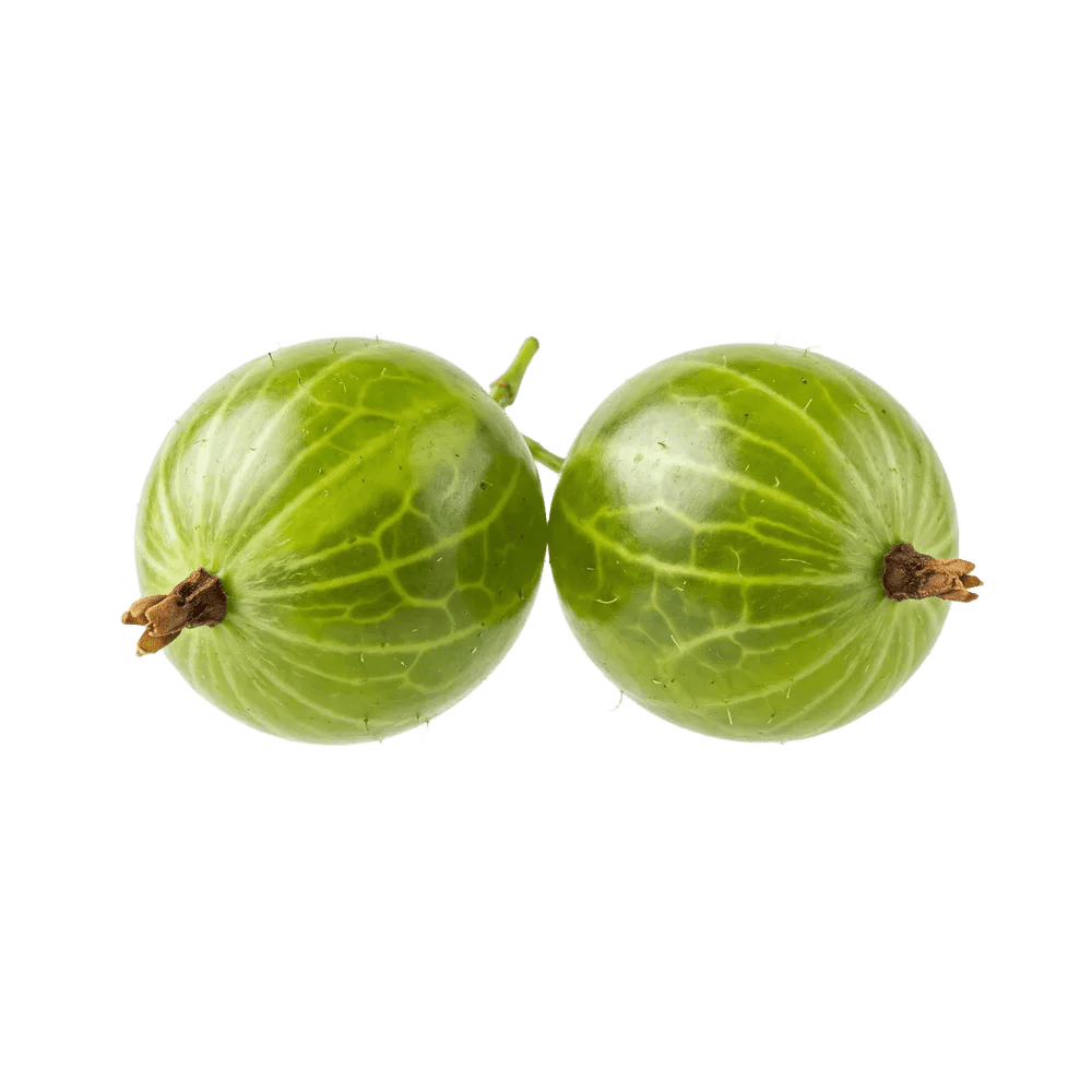 PNG крыжовник