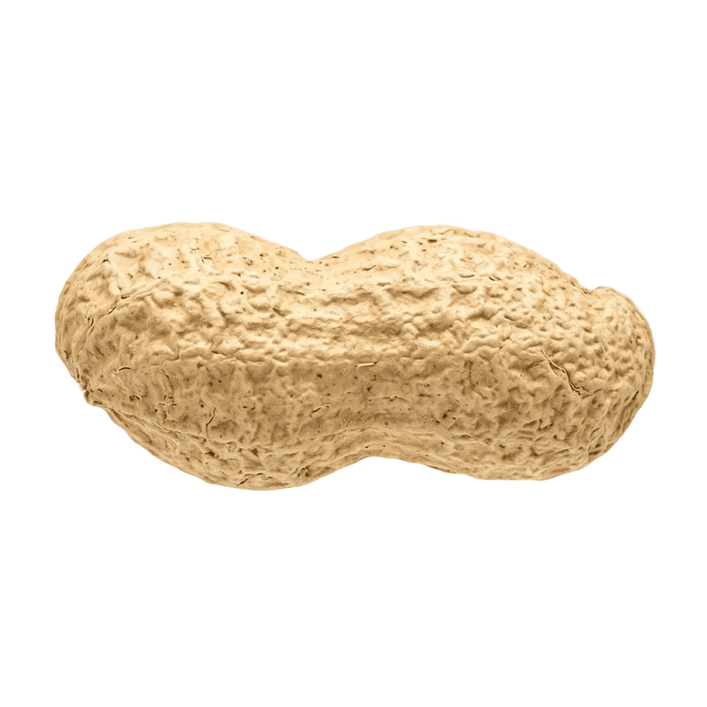 PNG арахис в скорлупе