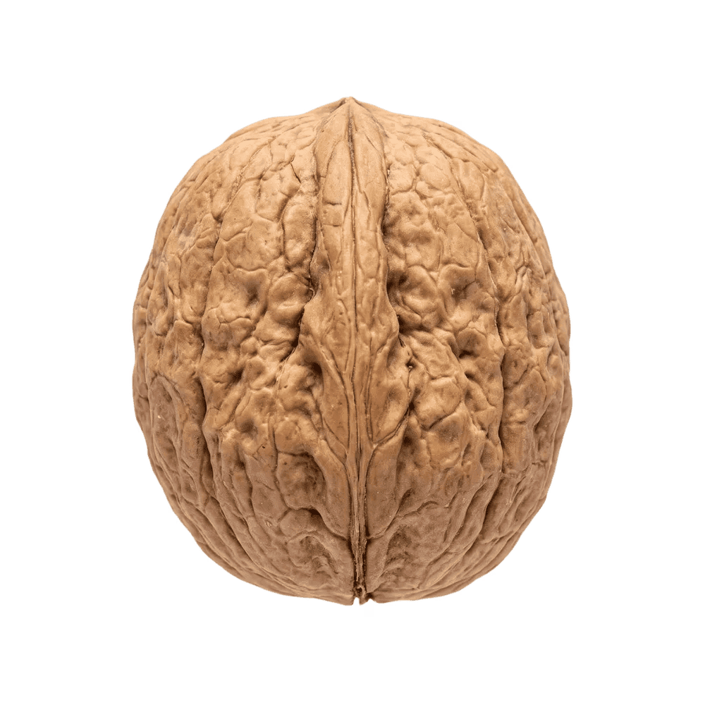 PNG грецкий орех