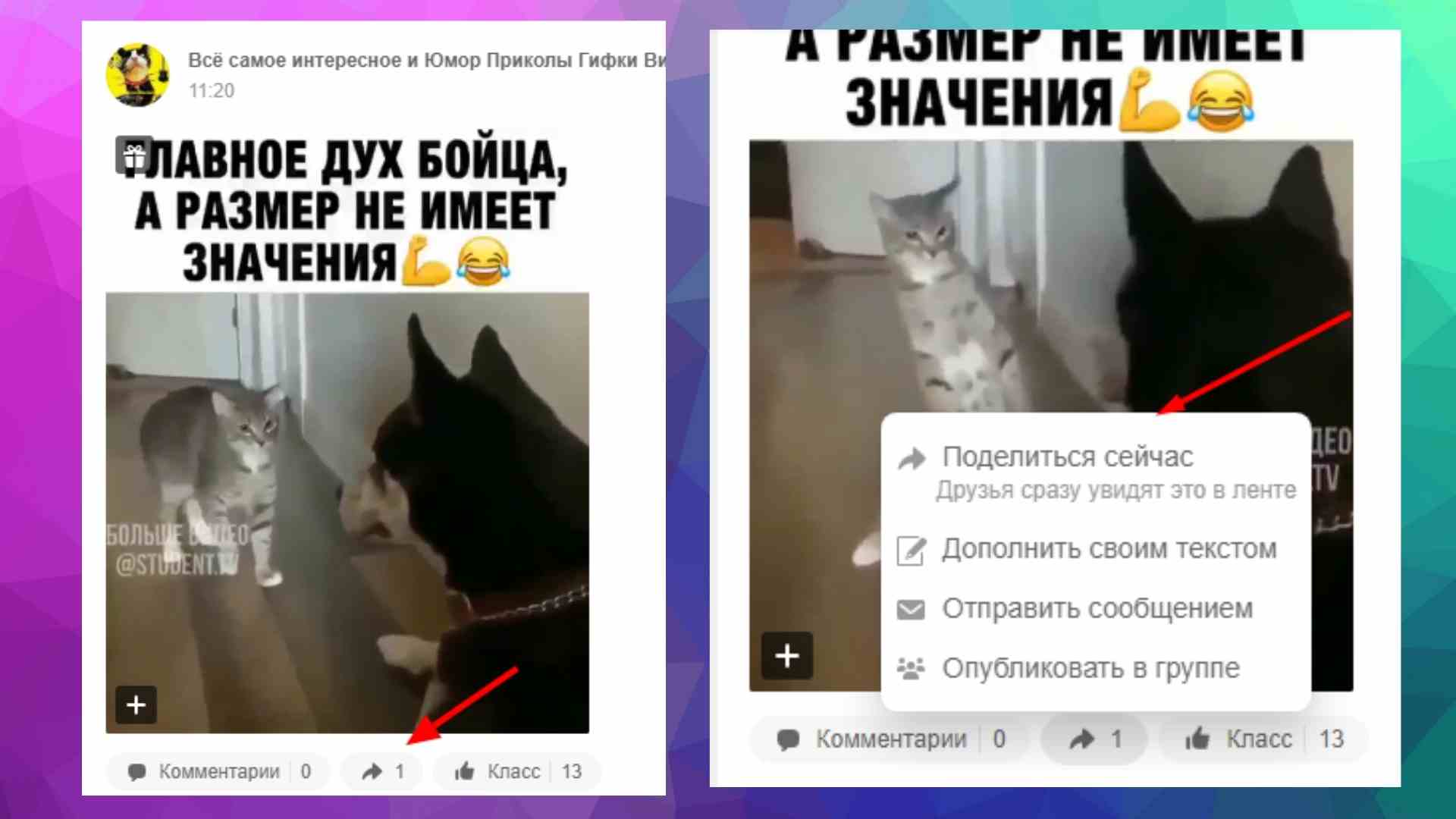 Что значит репост в тт