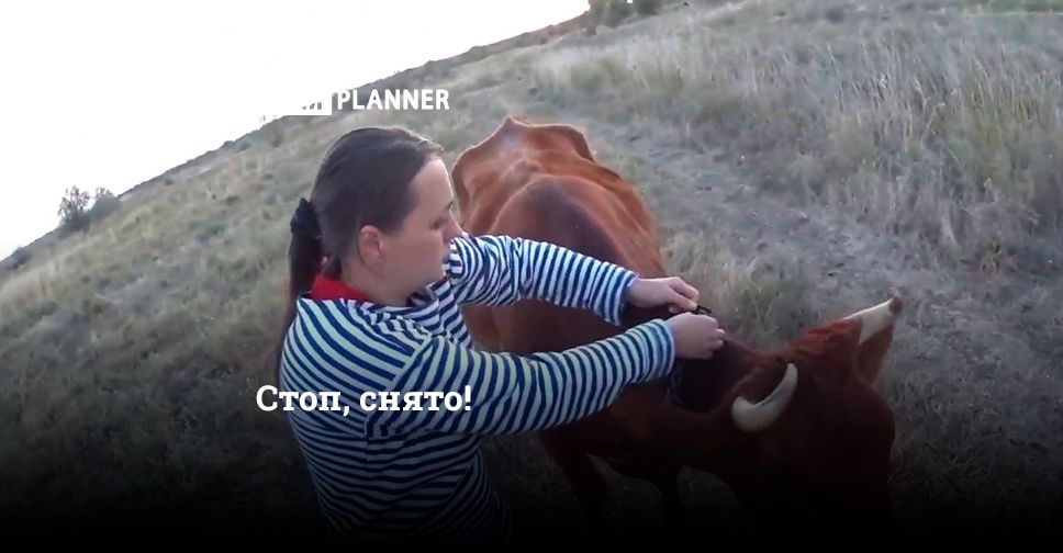 Как сделать страницу в фейсбук видео