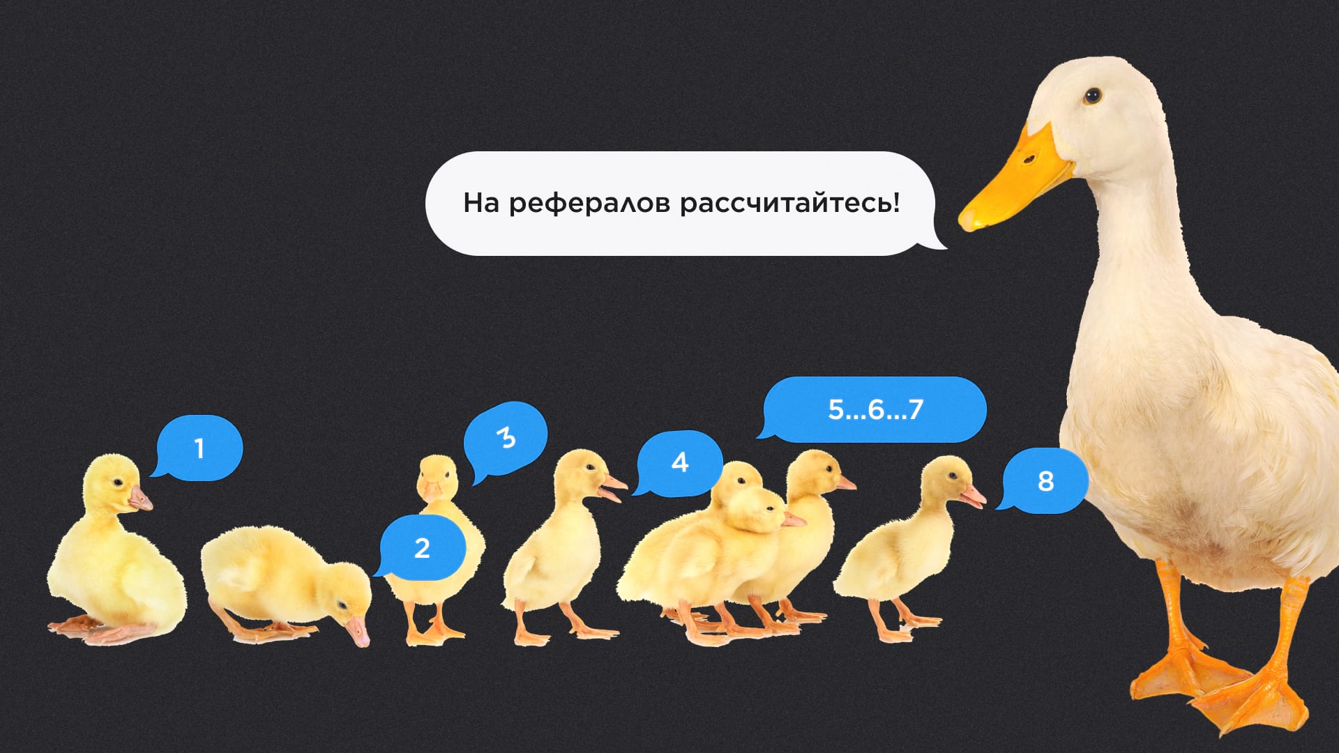 Как работает партнерская программа в интернет-маркетинге и как на ней ...