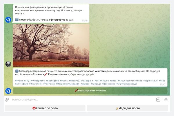 Бот может обработать только одну фотографию за раз
