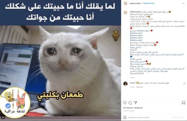 Кот явно не понимает, что тут написано, но красивое