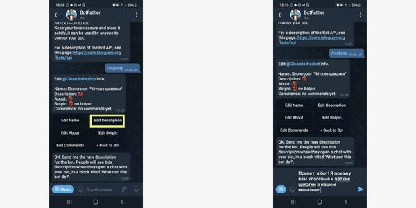 Заполняем Description – описание бота