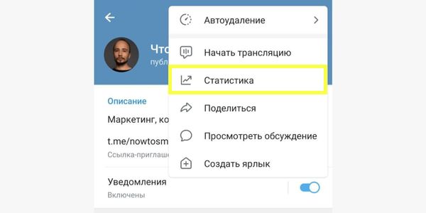 Статистика доступа только с телефона, находится в настройках канала