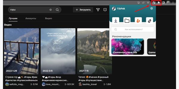 tikpak-downloader