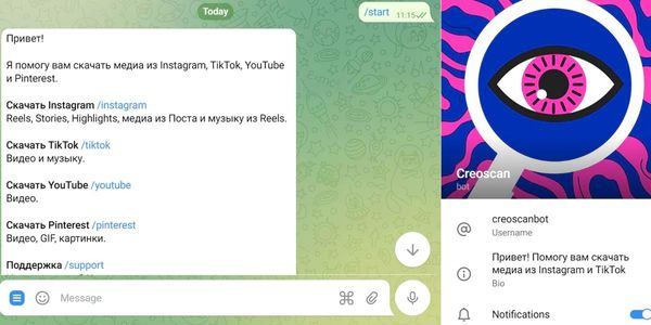 Creoscan бот помогает легко скачивать медиа из ТикТока, Инстаграма*, YouTube и Pinterest
