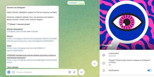 Бот выдаст примеры ссылок для скачивания разных типов медиа