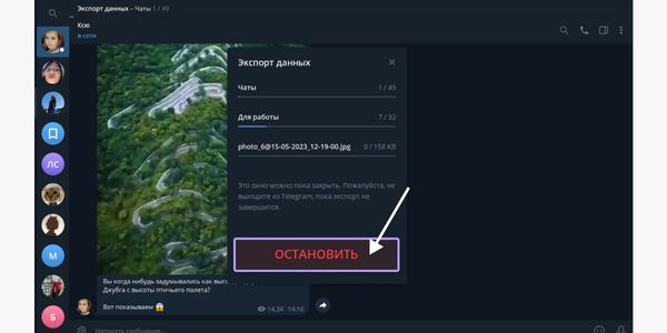 Когда нужный чат будет экспортирован, нажмите &laquo;Остановить&raquo;