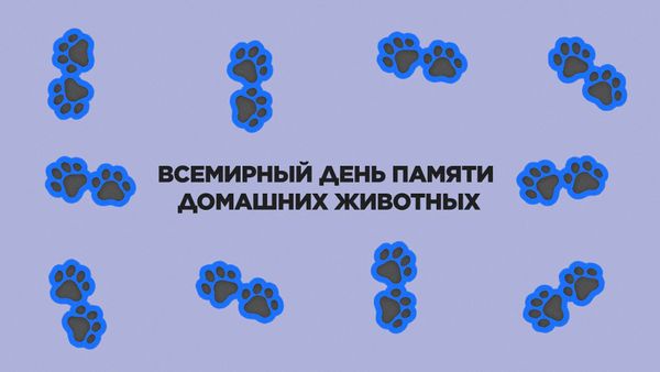 10 июня. Всемирный день памяти домашних животных