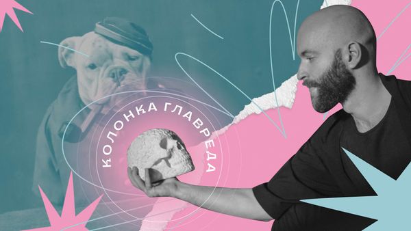 Пища для ума. Колонка главреда