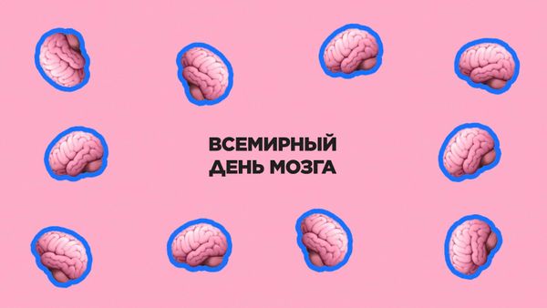 22 июля. Всемирный день мозга