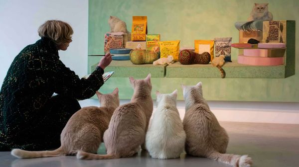 Креативные макеты для рекламы в соцсетях: идеи, тренды и рабочие приёмы