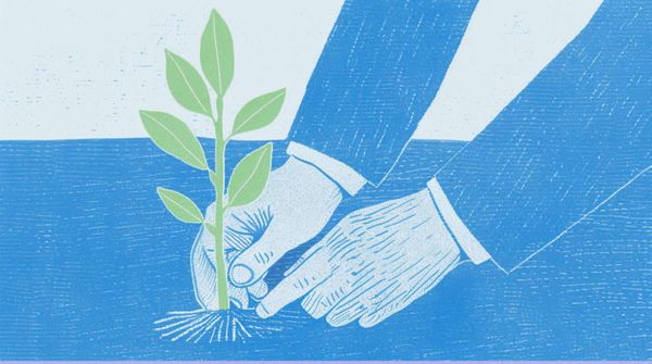 Как внедрить омниканальный маркетинг: пошаговое руководство для бизнеса