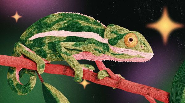 Тренды дизайна, которые будут работать в соцсетях в 2026 году